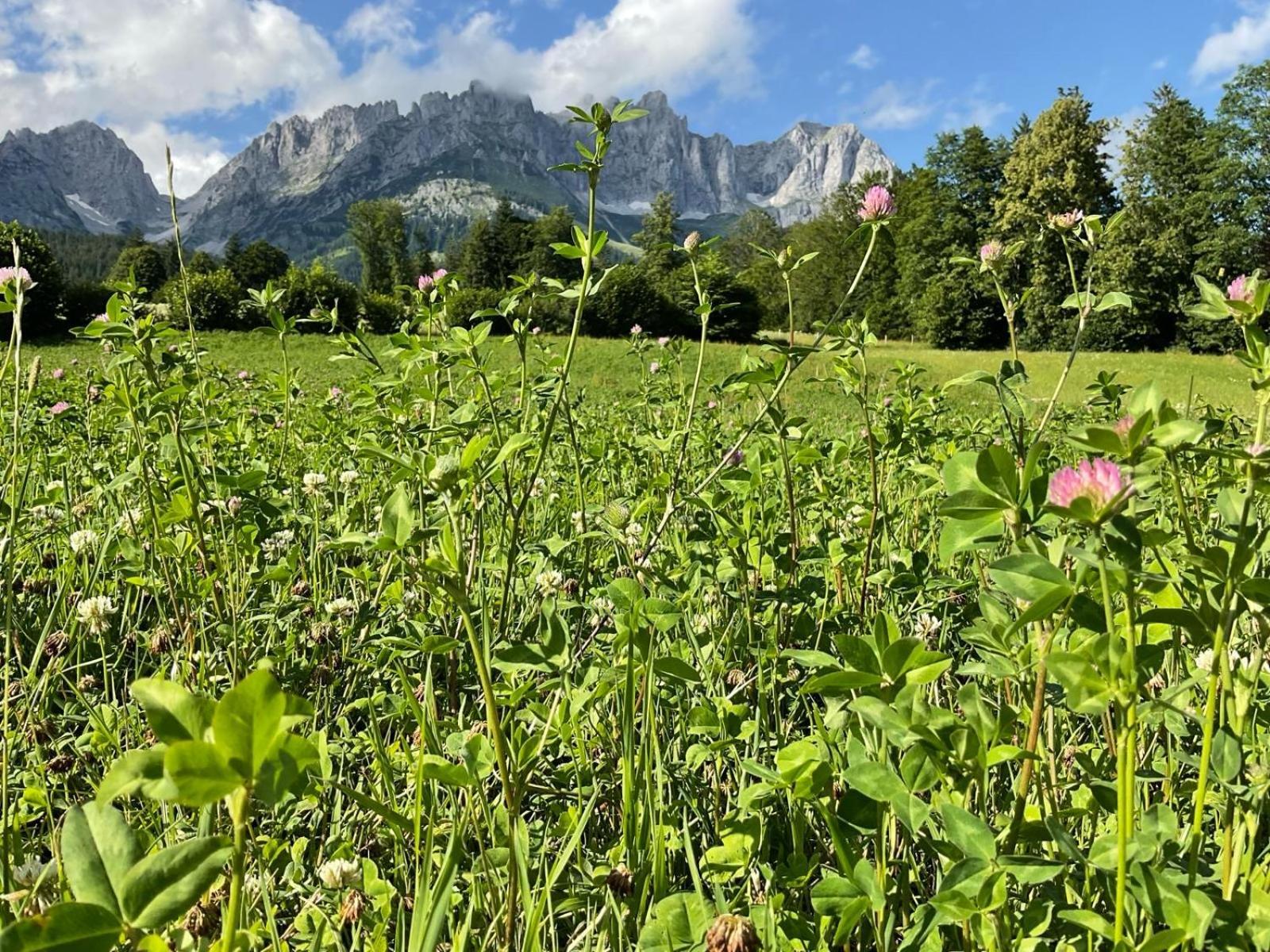 Kitz Deluxe Suite 1 & 2 Im Zentrum Mit Eigenem Spa & Parken By Belle-Stay Kitzbühel Exteriér fotografie